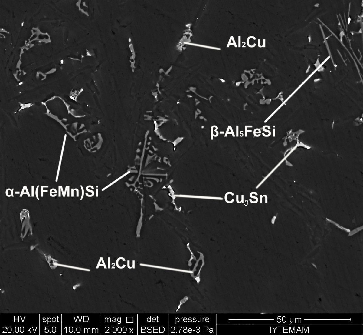 scanning electron microscope